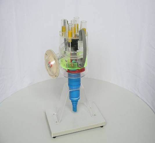 ɣ���{�����ģ��